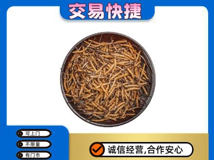 河源东源县礼品回收虫草.jpg